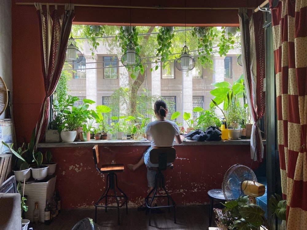 Aesthetic vibes with floral drinks and soft natural light